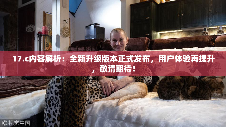 17.c内容解析：全新升级版本正式发布，用户体验再提升，敬请期待！
