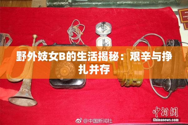 野外妓女B的生活揭秘：艰辛与挣扎并存