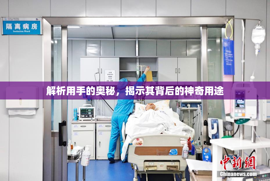 解析用手的奥秘，揭示其背后的神奇用途
