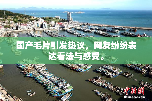 国产毛片引发热议，网友纷纷表达看法与感受。
