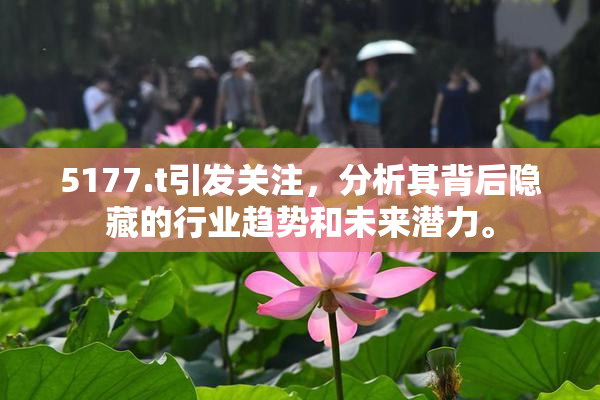 5177.t引发关注，分析其背后隐藏的行业趋势和未来潜力。