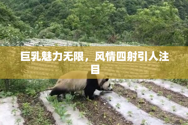 巨乳魅力无限，风情四射引人注目