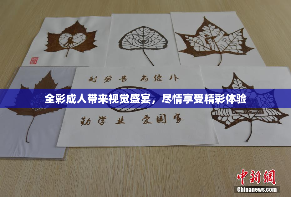 全彩成人带来视觉盛宴，尽情享受精彩体验