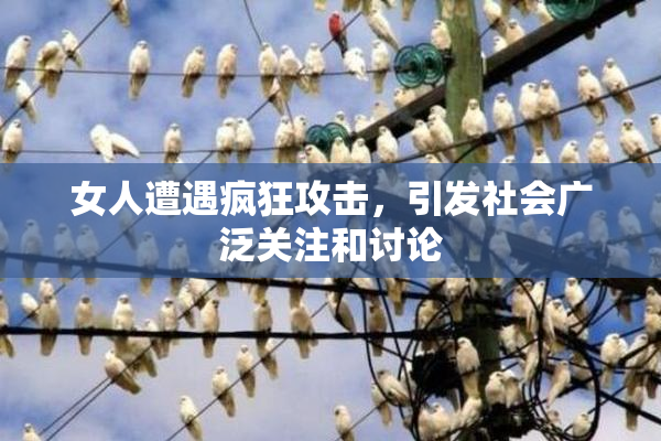女人遭遇疯狂攻击，引发社会广泛关注和讨论