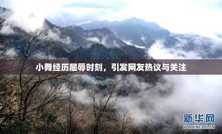 小舞经历屈辱时刻，引发网友热议与关注