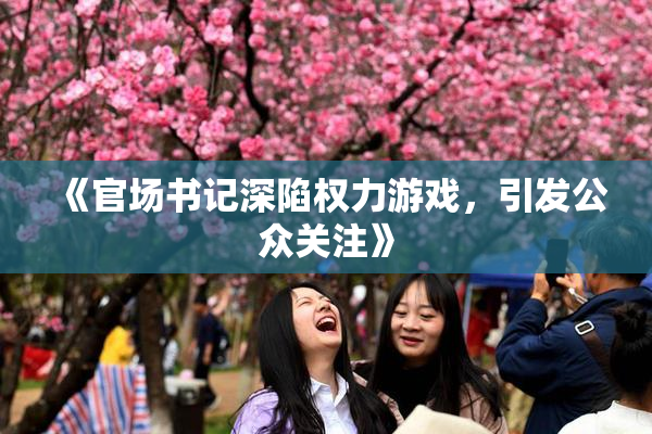 《官场书记深陷权力游戏，引发公众关注》