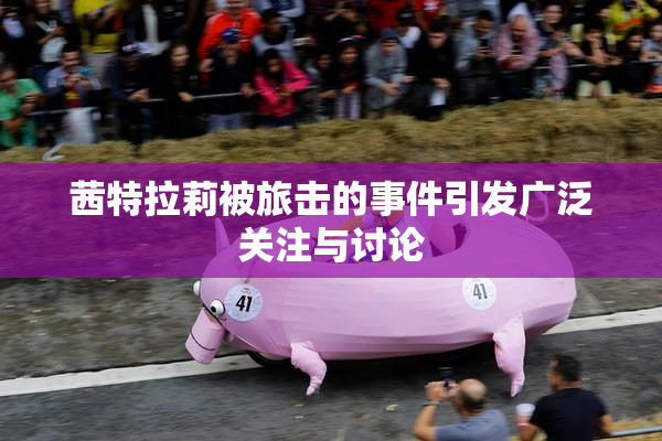 茜特拉莉被旅击的事件引发广泛关注与讨论