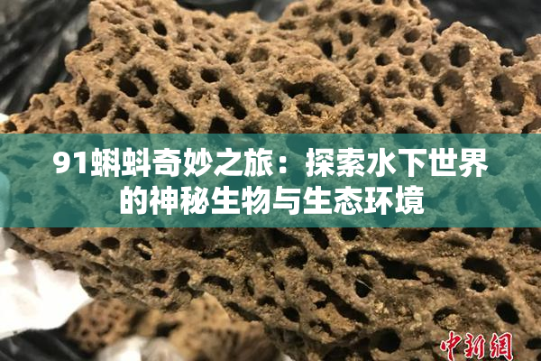 91蝌蚪奇妙之旅：探索水下世界的神秘生物与生态环境