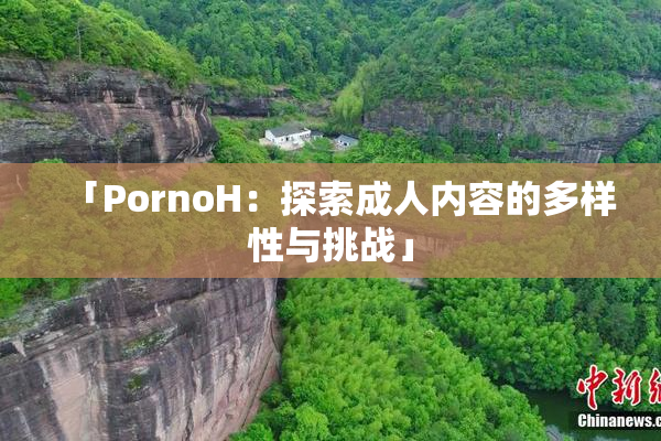 「PornoH：探索成人内容的多样性与挑战」