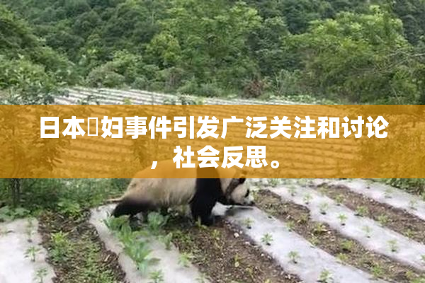 日本婬妇事件引发广泛关注和讨论，社会反思。