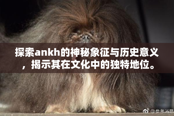 探索ankh的神秘象征与历史意义，揭示其在文化中的独特地位。