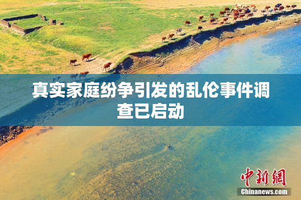 真实家庭纷争引发的乱伦事件调查已启动