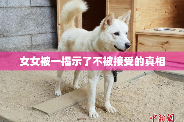 女女被一揭示了不被接受的真相