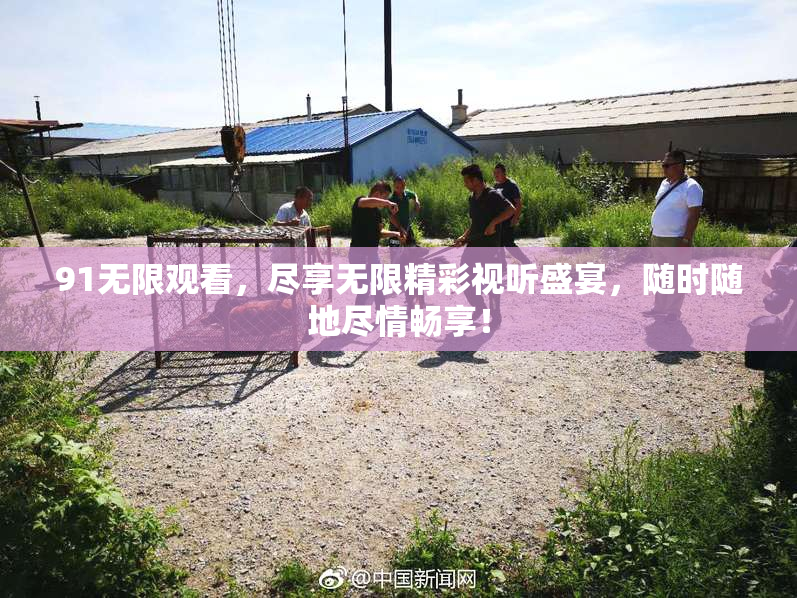 91无限观看，尽享无限精彩视听盛宴，随时随地尽情畅享！