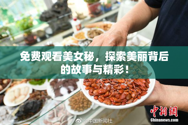 免费观看美女秘，探索美丽背后的故事与精彩！