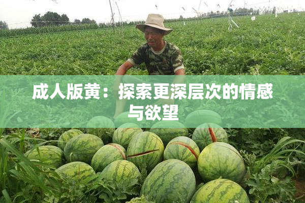 成人版黄：探索更深层次的情感与欲望