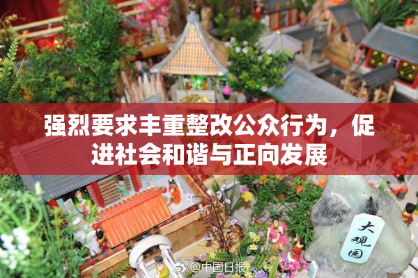 强烈要求丰重整改公众行为，促进社会和谐与正向发展