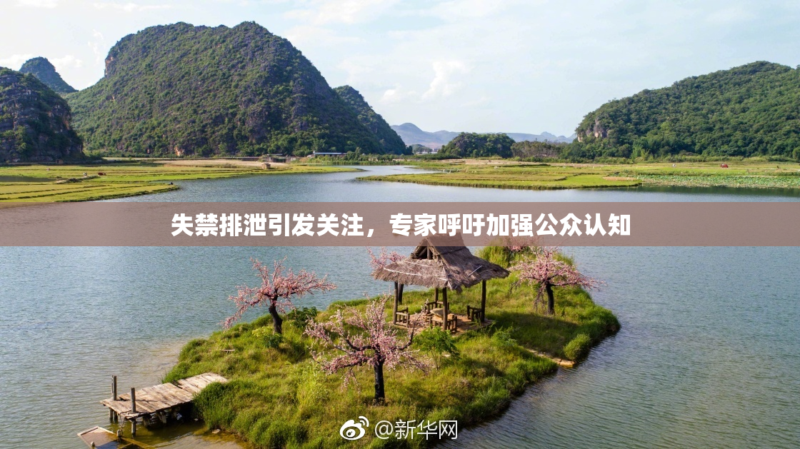 失禁排泄引发关注，专家呼吁加强公众认知