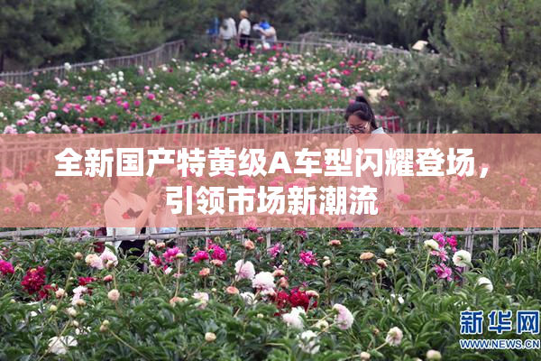 全新国产特黄级A车型闪耀登场，引领市场新潮流