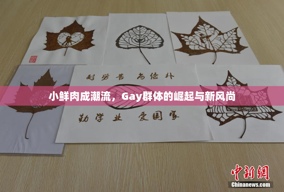 小鲜肉成潮流，Gay群体的崛起与新风尚