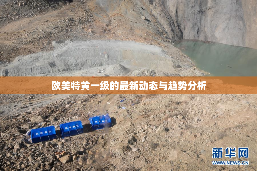 欧美特黄一级的最新动态与趋势分析
