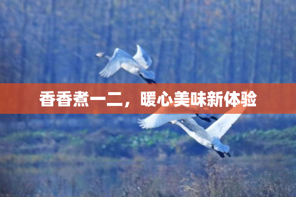 香香煮一二，暖心美味新体验