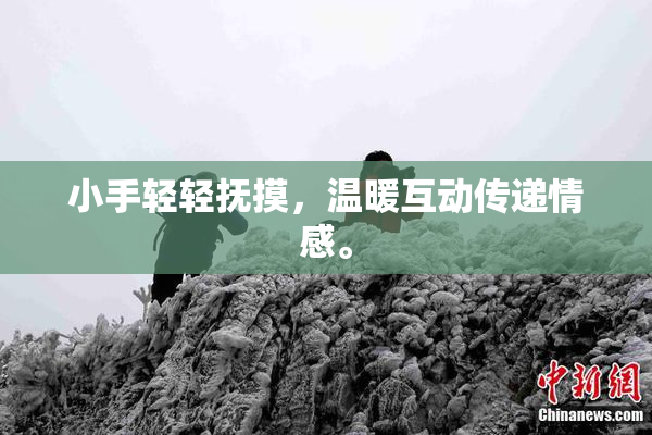 小手轻轻抚摸，温暖互动传递情感。