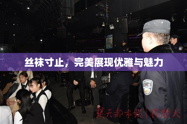 丝袜寸止，完美展现优雅与魅力