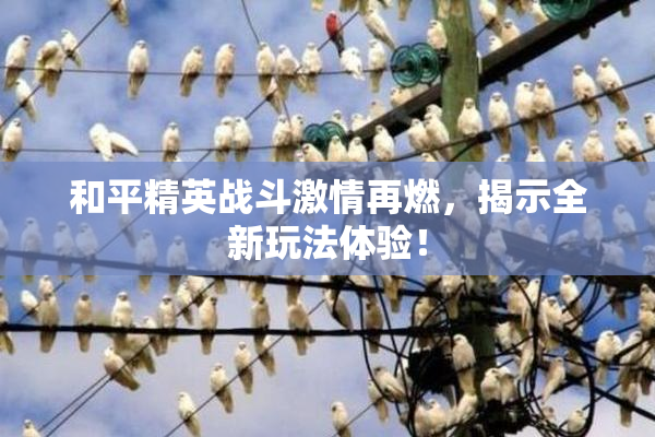 和平精英战斗激情再燃，揭示全新玩法体验！