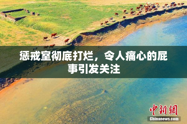 惩戒室彻底打烂，令人痛心的屁事引发关注