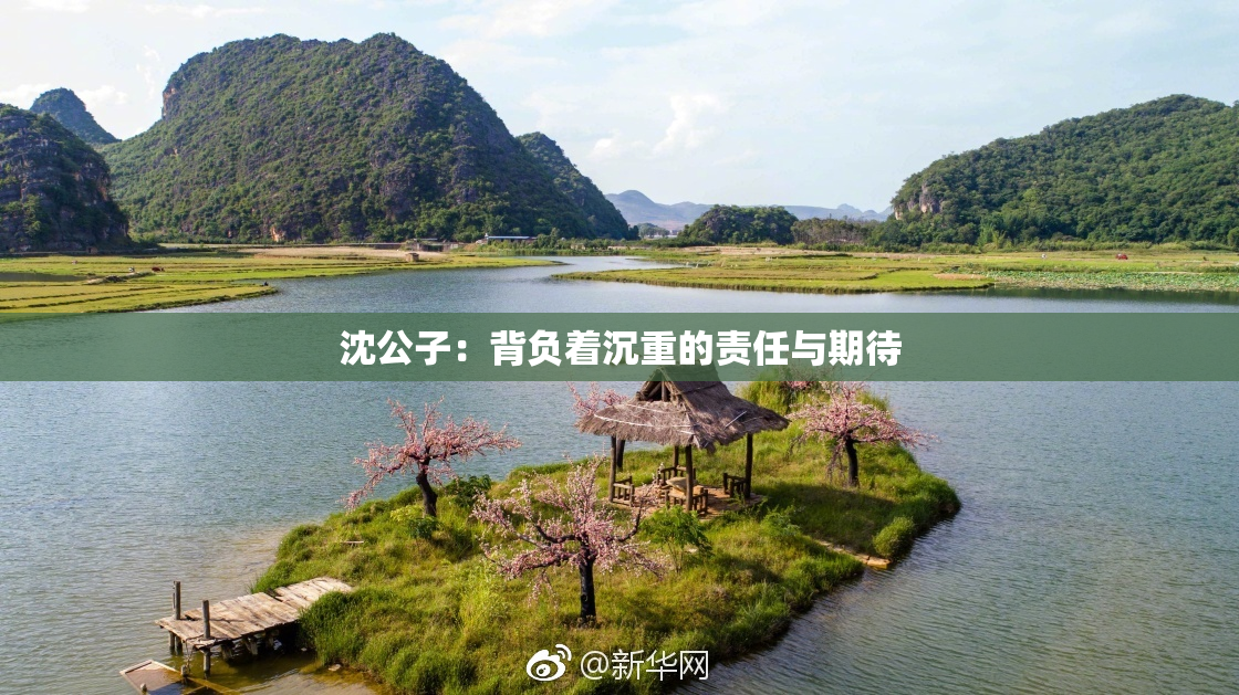 沈公子：背负着沉重的责任与期待