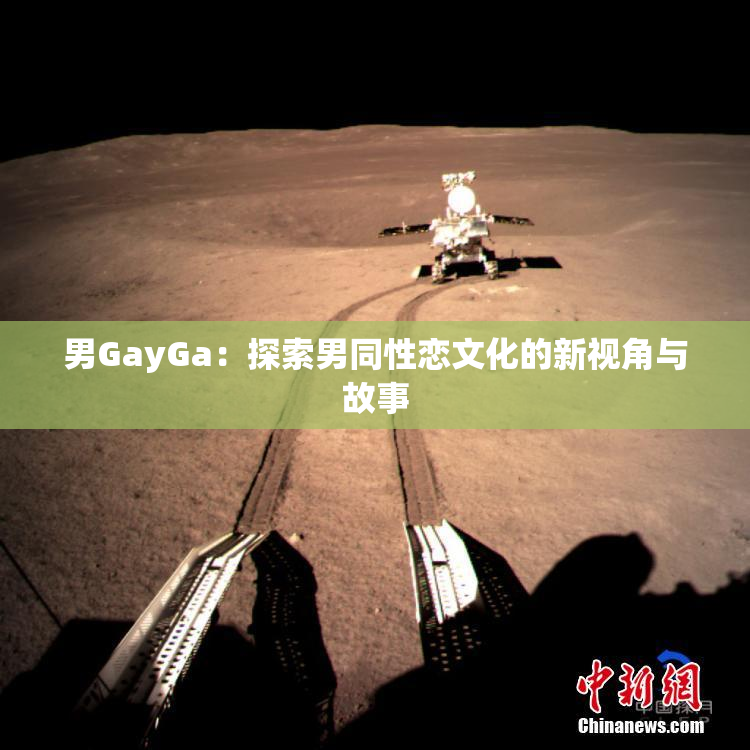 男GayGa：探索男同性恋文化的新视角与故事