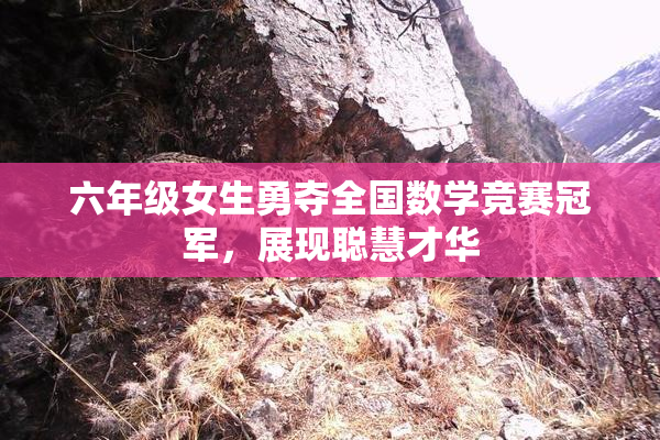 六年级女生勇夺全国数学竞赛冠军，展现聪慧才华