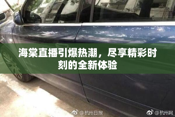 海棠直播引爆热潮，尽享精彩时刻的全新体验