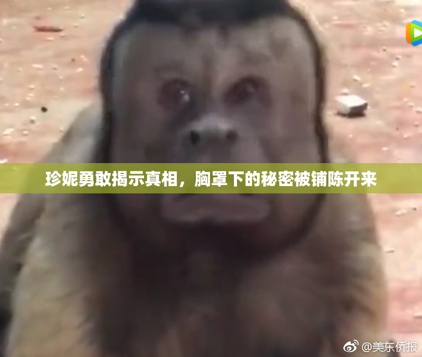 珍妮勇敢揭示真相，胸罩下的秘密被铺陈开来