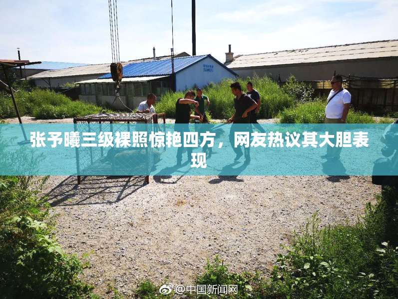 张予曦三级裸照惊艳四方，网友热议其大胆表现