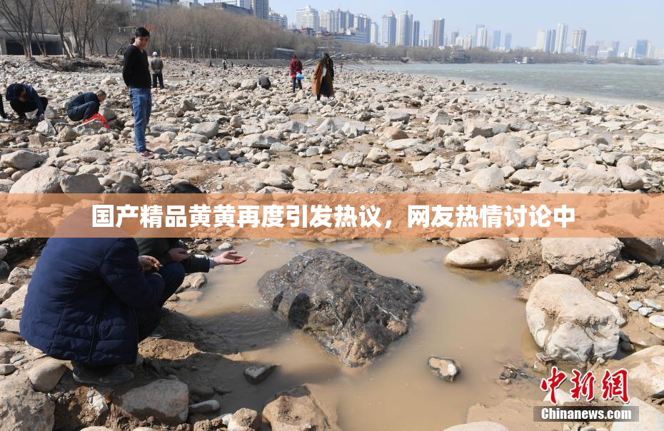 国产精品黄黄再度引发热议，网友热情讨论中