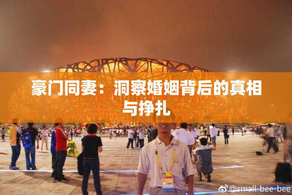 豪门同妻：洞察婚姻背后的真相与挣扎
