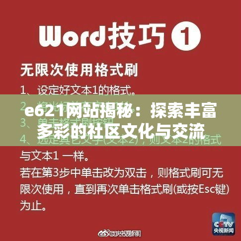 e621网站揭秘：探索丰富多彩的社区文化与交流