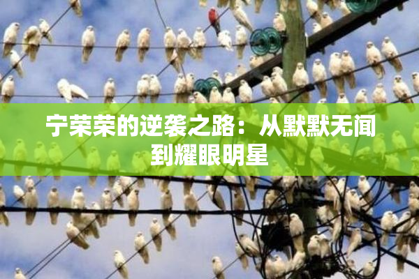 宁荣荣的逆袭之路：从默默无闻到耀眼明星