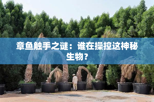 章鱼触手之谜：谁在操控这神秘生物？