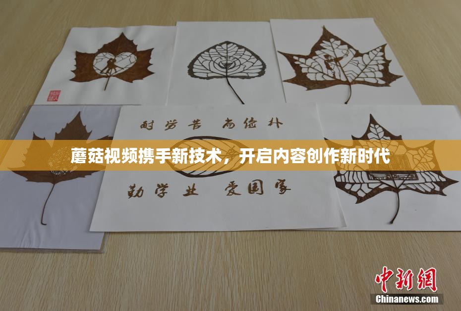 蘑菇视频携手新技术，开启内容创作新时代