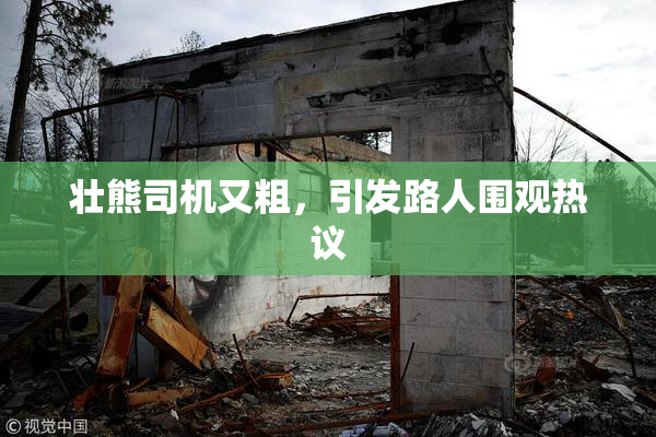 壮熊司机又粗，引发路人围观热议