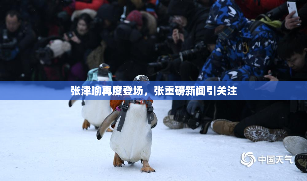 张津瑜再度登场，张重磅新闻引关注