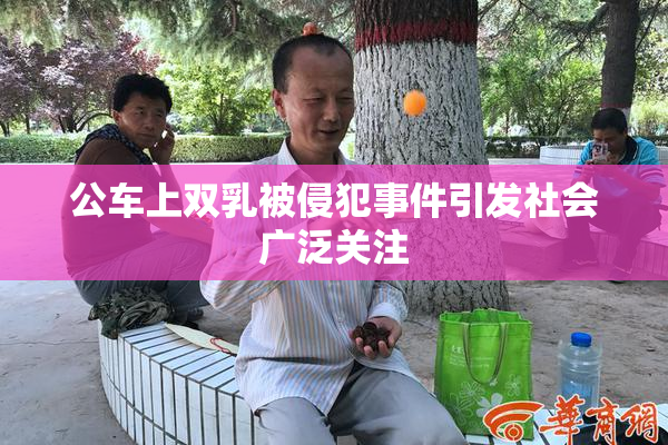 公车上双乳被侵犯事件引发社会广泛关注