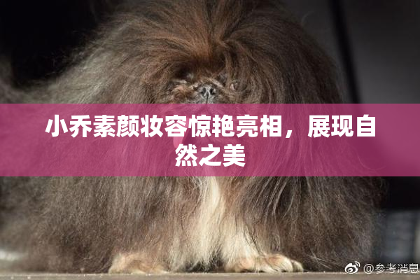 小乔素颜妆容惊艳亮相，展现自然之美