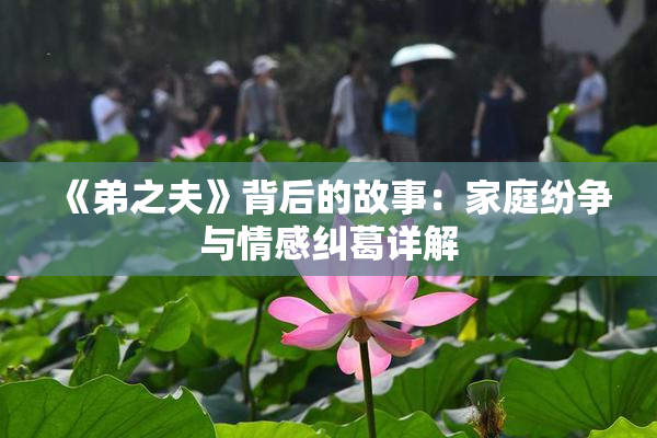 《弟之夫》背后的故事：家庭纷争与情感纠葛详解