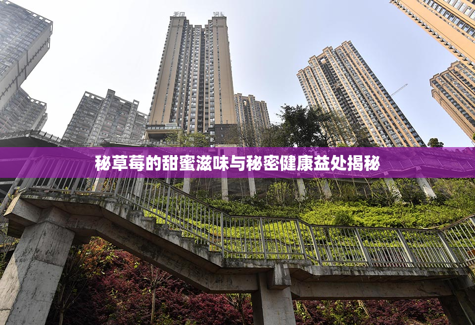 秘草莓的甜蜜滋味与秘密健康益处揭秘