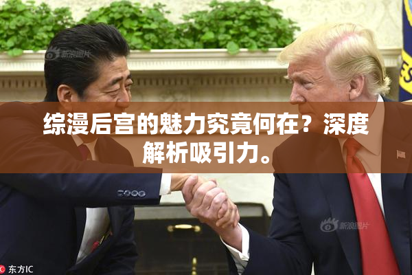 综漫后宫的魅力究竟何在？深度解析吸引力。