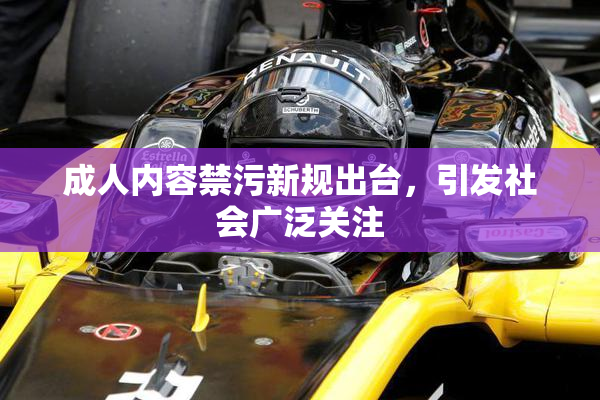 成人内容禁污新规出台，引发社会广泛关注